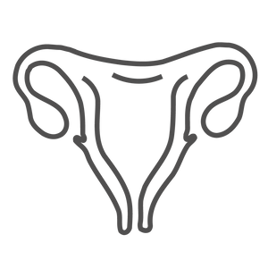 Gynaecologist  Approved